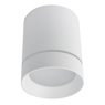 Светильник Arte Lamp ELLE A1909PL-1WH