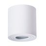 Светильник Arte Lamp GALOPIN A1460PL-1WH Светильник Arte Lamp GALOPIN A1460PL-1WH