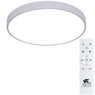 Светильник Arte Lamp ARENA A2670PL-1WH Светильник Arte Lamp ARENA A2670PL-1WH