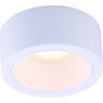 Светильник Arte Lamp EFFETTO A5553PL-1WH