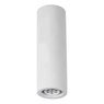 Светильник Arte Lamp TUBO A9267PL-1WH Светильник Arte Lamp TUBO A9267PL-1WH
