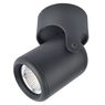 Светильник Arte Lamp LIBRA A3316PL-1BK Светильник Arte Lamp LIBRA A3316PL-1BK