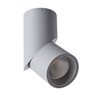 Светильник Arte Lamp ORIONE A7717PL-1GY