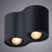 Светильник Arte Lamp FALCON A5645PL-2BK