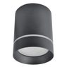 Светильник Arte Lamp ELLE A1949PL-1BK Светильник Arte Lamp ELLE A1949PL-1BK