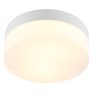 Светильник Arte Lamp AQUA-TABLET A6047PL-1WH Светильник Arte Lamp AQUA-TABLET A6047PL-1WH