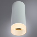 Светильник Arte Lamp OGMA A5556PL-1WH
