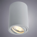 Светильник Arte Lamp SENTRY A1560PL-1GY