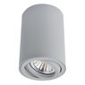 Светильник Arte Lamp SENTRY A1560PL-1GY Светильник Arte Lamp SENTRY A1560PL-1GY