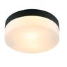 Светильник Arte Lamp AQUA-TABLET A6047PL-2BK