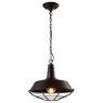 Светильник Arte Lamp PANDORA A9183SP-1BK Светильник Arte Lamp PANDORA A9183SP-1BK