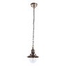 Светильник Arte Lamp SAILOR A4524SP-1AB Светильник Arte Lamp SAILOR A4524SP-1AB