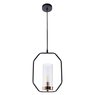 Светильник Arte Lamp ORNELLA A7004SP-1BK Светильник Arte Lamp ORNELLA A7004SP-1BK