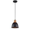 Светильник Arte Lamp EURICA A4245SP-1BK