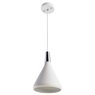 Светильник Arte Lamp CICLONE A9154SP-1WH
