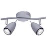 Спот Arte Lamp REGISTA A1966AP-2GY Спот Arte Lamp REGISTA A1966AP-2GY