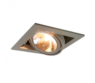 Встраиваемый светильник Arte Lamp CARDANI SEMPLICE A5949PL-1GY