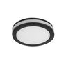 Светильник Arte Lamp TABIT A8430PL-1BK Светильник Arte Lamp TABIT A8430PL-1BK