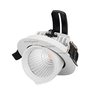 Светильник LTD-EXPLORER-R100-12W White6000 (WH, 38 deg) (Arlight, IP20 Металл, 3 года) Светильник LTD-EXPLORER-R100-12W White6000 (WH, 38 deg) (Arlight, IP20 Металл, 3 года)
