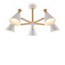 Люстра Freya FR5169PL-05W Люстра Freya FR5169PL-05W