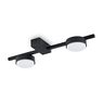 Потолочный светильник Freya FR5363CL-02B Потолочный светильник Freya FR5363CL-02B