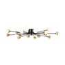 Потолочный светильник Freya FR5242CL-16B Потолочный светильник Freya FR5242CL-16B