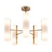Потолочный светильник Freya FR5368CL-10BS Потолочный светильник Freya FR5368CL-10BS