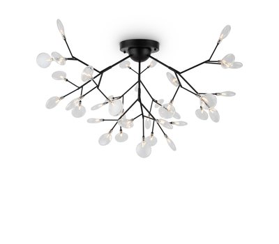 Потолочный светильник Freya FR5049CL-36B