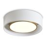 Потолочный светильник Freya FR6170CL-L52BS Потолочный светильник Freya FR6170CL-L52BS