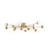 Потолочный светильник Freya FR5242CL-16BS Потолочный светильник Freya FR5242CL-16BS