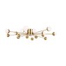 Потолочный светильник Freya FR5242CL-16BS Потолочный светильник Freya FR5242CL-16BS