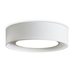 Потолочный светильник Freya FR6170CL-L52BS Потолочный светильник Freya FR6170CL-L52BS