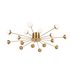 Потолочный светильник Freya FR5242CL-16BS Потолочный светильник Freya FR5242CL-16BS
