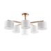 Потолочный светильник Freya FR5386CL-06G Потолочный светильник Freya FR5386CL-06G