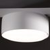 Потолочный светильник Freya FR5363CL-03W Потолочный светильник Freya FR5363CL-03W