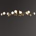 Потолочный светильник Freya FR5242CL-16BS Потолочный светильник Freya FR5242CL-16BS