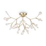 Потолочный светильник Freya FR5049CL-36G Потолочный светильник Freya FR5049CL-36G