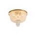 Потолочный светильник Freya FR1008CL-04BS Потолочный светильник Freya FR1008CL-04BS