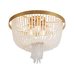 Потолочный светильник Freya FR1008CL-04BS Потолочный светильник Freya FR1008CL-04BS