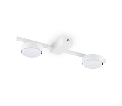 Потолочный светильник Freya FR5363CL-02W Потолочный светильник Freya FR5363CL-02W