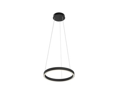 Подвесной светильник Maytoni MOD058PL-L22BK Подвесной светильник Maytoni MOD058PL-L22BK