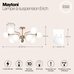 Подвесной светильник Maytoni MOD221PL-10G Подвесной светильник Maytoni MOD221PL-10G