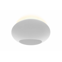 Настенный светильник iLedex Light Flux ZD8152-6W 3000K белая ракушка
