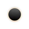 Настенный светильник iLedex Lunar ZD8102-12W 3000K matt black