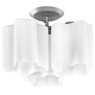Люстра потолочная Nubi Lightstar 802030 Люстра потолочная Nubi Lightstar 802030