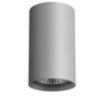 Светильник накладной Rullo Lightstar 214439
