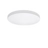 Светильник накладной Arco Lightstar 225204 Светильник накладной Arco Lightstar 225204
