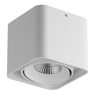 Светильник накладной Monocco Lightstar 212516 Светильник накладной Monocco Lightstar 212516