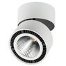 Светильник накладной Forte Muro Lightstar 213850