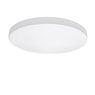 Светильник накладной Arco Lightstar 225262 Светильник накладной Arco Lightstar 225262